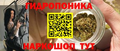 ГАЛЛЮЦИНОГЕННЫЕ ГРИБЫ Можга