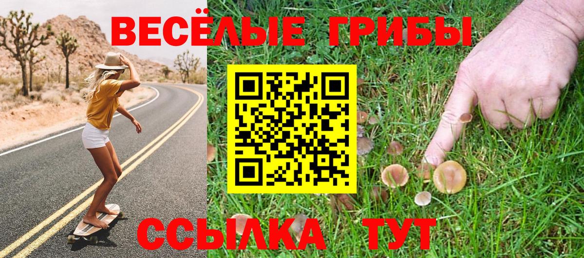 Галлюциногенные грибы Psilocybine cubensis  Псилоцибиновые грибы Psilocybine cubensis  Вход с VPN  Хасавюрт 